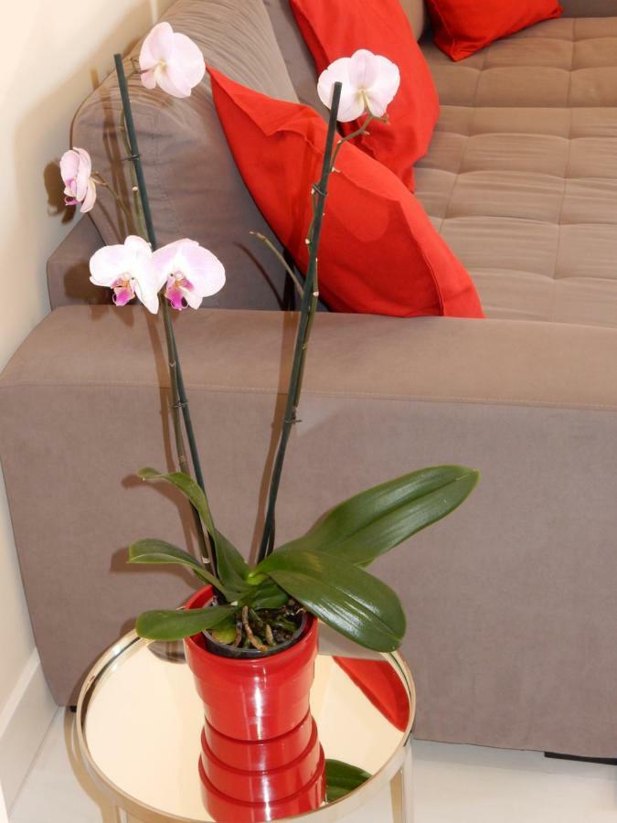 Beach & Sea Apt, Fast Wifi, Airco, Private Parking And Pool Portimão Buitenkant foto
